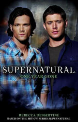 Supernatural: One Year Gone (2011)