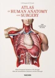 Bourgery. Atlas of Human Anatomy and Surgery (ISBN: 9783836568982)