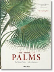 Martius. The Book of Palms - H. Walter Lack, Carl Friedrich Philipp von Martius (ISBN: 9783836566148)