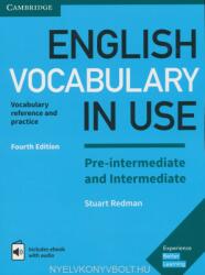 English Vocabulary in Use Pre-intermediate and Intermediate Book with Answers (ISBN: 9781316628317)