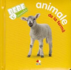 Animale de la ferma. Bebe invata (ISBN: 9786063316210)