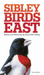 Sibley Field Guide to Birds of Eastern North America - David Sibley (ISBN: 9780307957917)