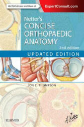 Netter's Concise Orthopaedic Anatomy, Updated Edition - Jon C. Thompson (ISBN: 9780323429702)