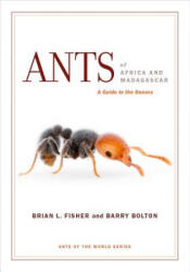 Ants of Africa and Madagascar - Brian L Fisher (ISBN: 9780520290891)