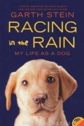 Racing in the Rain - Garth Stein (2011)