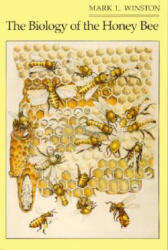 Biology of the Honey Bee - Mark L Winston (ISBN: 9780674074095)