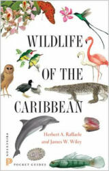 Wildlife of the Caribbean - Herbert A Raffaele (ISBN: 9780691153827)