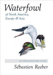 Waterfowl of North America, Europe, and Asia - Sebastien Reeber (ISBN: 9780691162669)