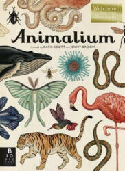 Animalium (ISBN: 9780763675080)