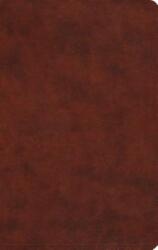 ESV Large Print Value Thinline Bible - Crossway Books (ISBN: 9781433550263)