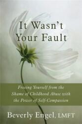 It Wasn't Your Fault (ISBN: 9781626250994)
