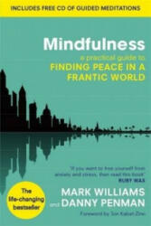 Mindfulness - Prof Mark Williams (2011)