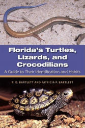Florida's Turtles, Lizards, and Crocodilians - Patricia Bartlett (ISBN: 9780813036687)