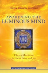 Awakening the Luminous Mind - Tenzin Wangyal Rinpoche, Marcy Vaughn (ISBN: 9781401949532)