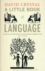 A Little Book of Language (2011)