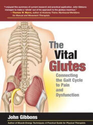 Vital Glutes - John Gibbons (ISBN: 9781583948477)