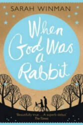 When God was a Rabbit - Sarah Winman (2011)