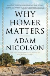 Why Homer Matters: A History (ISBN: 9781250074942)