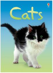 Anna Milbourne - Cats - Anna Milbourne (ISBN: 9780746080474)