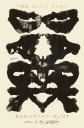 DARK DARK - Samantha Hunt (ISBN: 9780374282134)