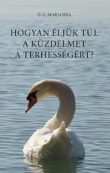 Hogyan éljük túl a küzdelmet a terhességért? (2017)