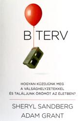 B TERV (2017)