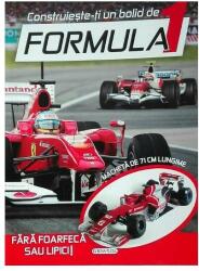 Construieste-ti un bolid de Formula 1 (ISBN: 9786065258716)