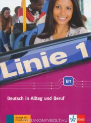 Linie 1 B1 - Deutsch in Alltag und Beruf, Kurs- und Übungsbuch mit DVD-ROM (ISBN: 9783126070942)