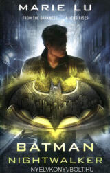 Batman: Nightwalker (0000)