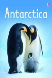 Antarctica - Lucy Bowman (ISBN: 9780746080351)