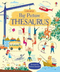 Big Picture Thesaurus - Rosie Hore (ISBN: 9781409598749)