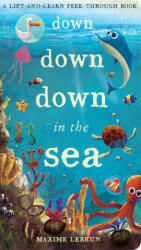 Down Down Down in the Sea - A lift-and-learn peek-through book (ISBN: 9781848575530)