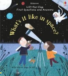 What's it Like in Space? (ISBN: 9781474920520)