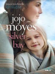 Silver Bay (ISBN: 9786063324321)