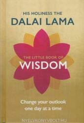 Little Book of Wisdom - Dalai Lama (ISBN: 9781846045622)
