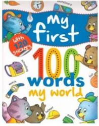 My First 100 Words. My World (ISBN: 9786065253193)