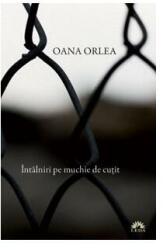 Intalniri pe muchie de cutit - Oana Orlea (2011)