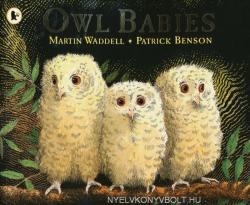 Owl Babies (ISBN: 9780744531671)