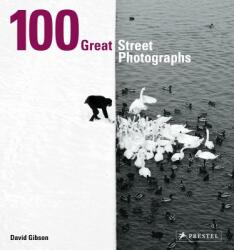 100 Great Street Photographs - David Gibson (ISBN: 9783791384382)