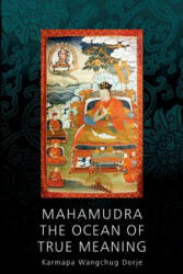 Mahamudra - The Ocean of True Meaning - Wangchug Dorje Karmapa, Henrik Havlat (ISBN: 9783744889568)