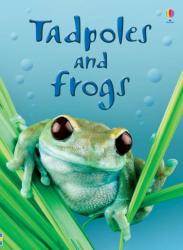Beginners - Tadpoles and frogs (ISBN: 9780746074558)