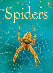 Spiders (ISBN: 9780746074794)
