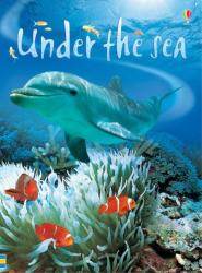 Under the Sea - Fiona Patchett (ISBN: 9780746074879)