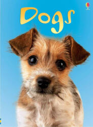 Dogs (ISBN: 9780746080481)