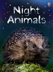 Night Animals - Sam Meredith (ISBN: 9780746080504)