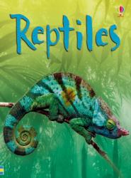 Reptiles (ISBN: 9780746099636)