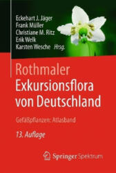 Rothmaler - Exkursionsflora von Deutschland, Gefasspflanzen: Atlasband - Eckehart J. Jäger, Frank Müller, Christiane Ritz, Erik Welk, Karsten Wesche (ISBN: 9783662497098)