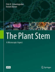 Plant Stem - Fritz H. Schweingruber, Annett Börner (ISBN: 9783319735238)