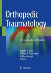 Orthopedic Traumatology (ISBN: 9783319733913)