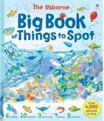 Big Book of Things to Spot (ISBN: 9780746053010)